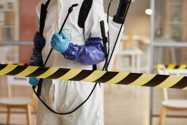 Professional Sewage Cleanup technician working in Rogers, NE